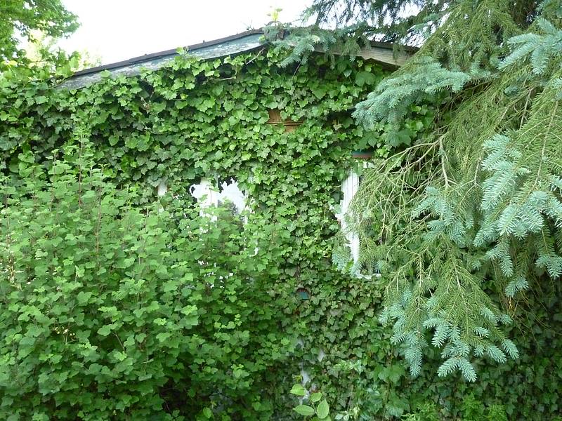Sanierung der Bauhütte - Klosterkirche Lippoldsberg