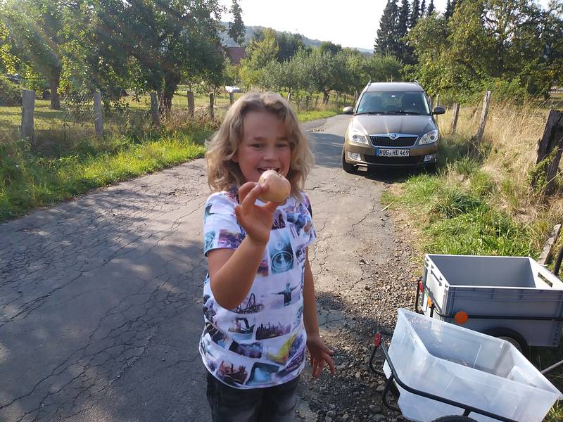 Bauhütte Klosterkirche Lippoldsberg - Apfelsaft Herstellung