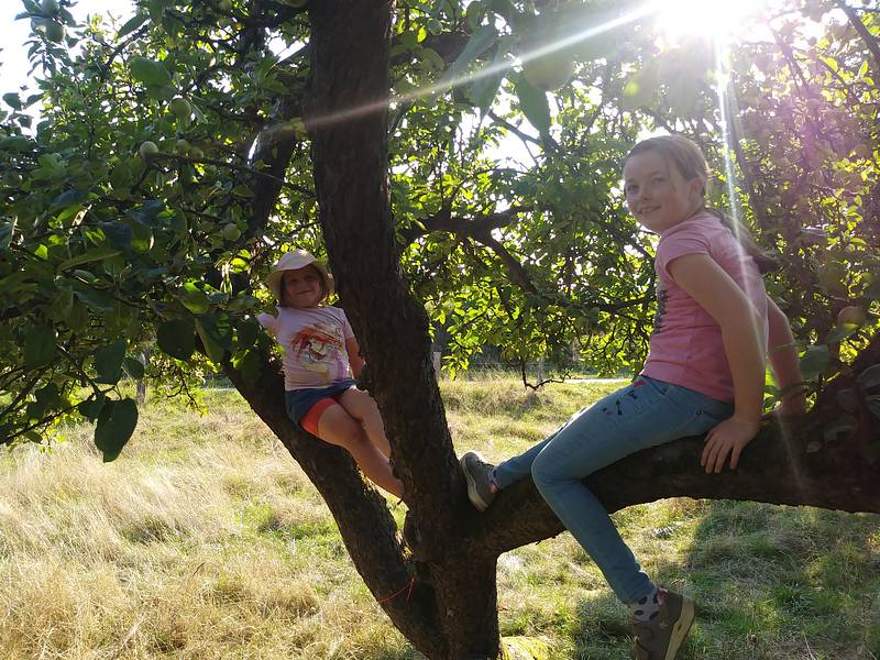 Bauhütte Klosterkirche Lippoldsberg - Apfelsaft Herstellung