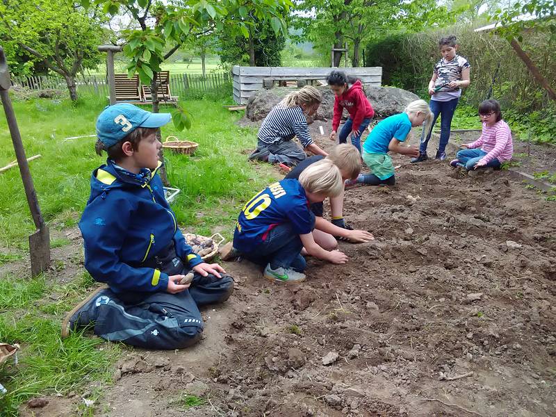 Bauhütte Klosterkirche Lippoldsberg - Offener Garten