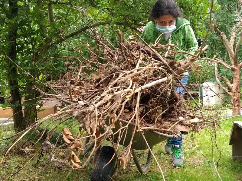Bauhütte Lippoldsberg 2021 - Fast wie immer